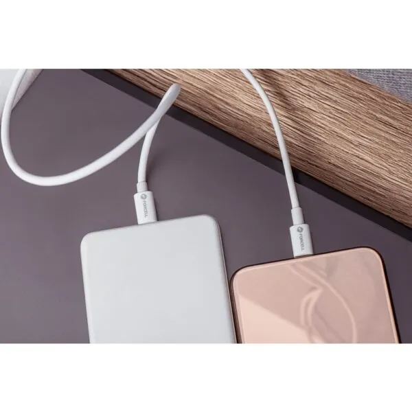 Câble USB-C Forcell chargeant deux appareils